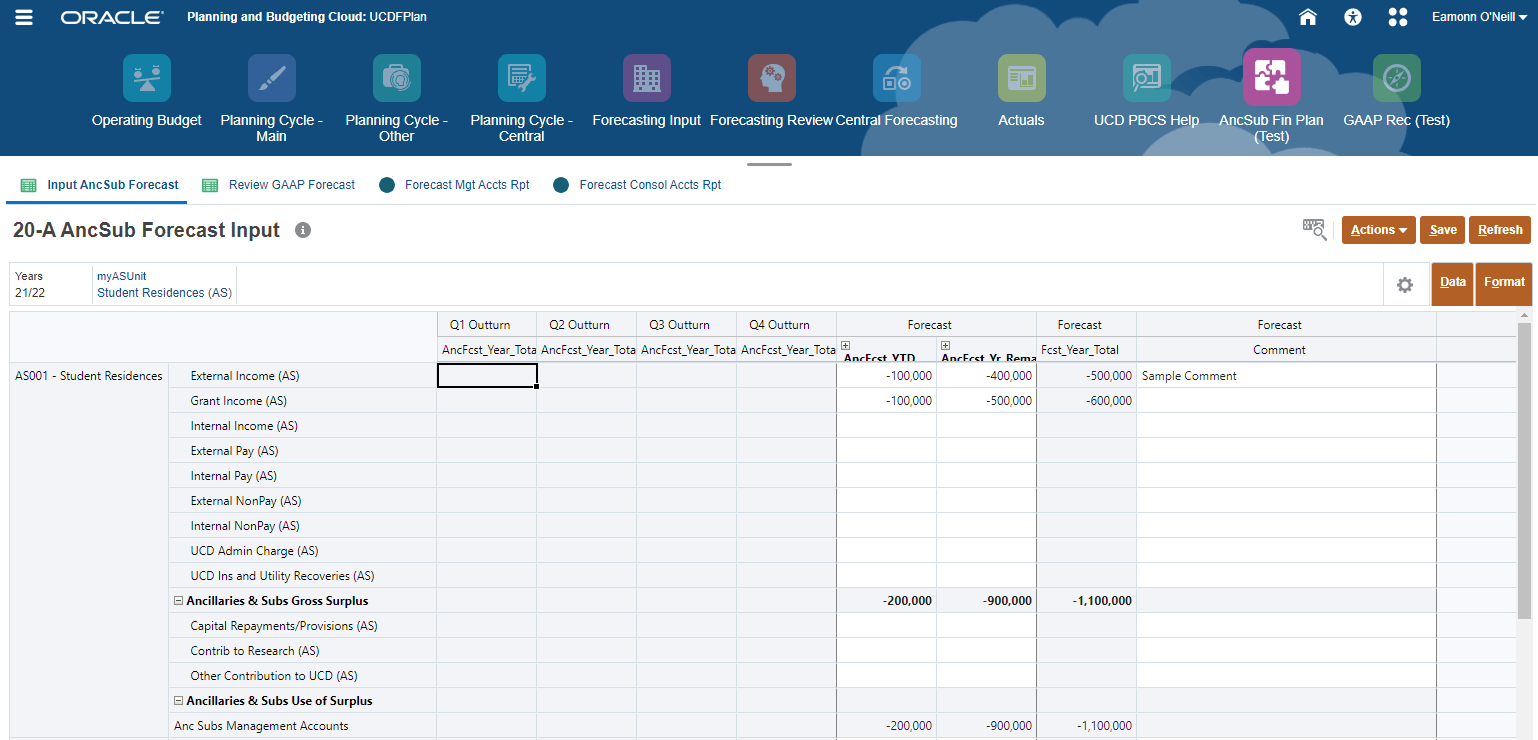 Screenshot of Ancillary and Subsidiary Forecast Input